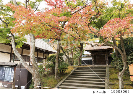 円覚寺の秋 19608065