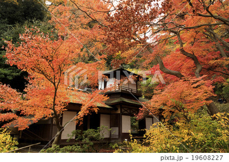 三渓園の紅葉 三渓園の紅葉 19608227