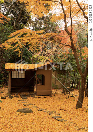 三渓園の紅葉 三渓園の紅葉 19608232
