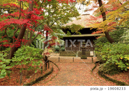 三渓園の紅葉 三渓園の紅葉 19608233