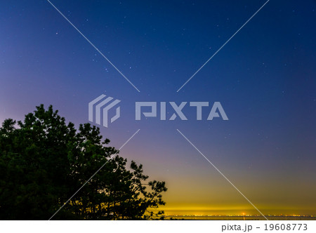 夜景 星空と松と街明かり 夜景 星空と松と街明かり 19608773