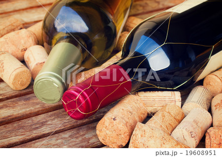white and red  wine bottles 19608951