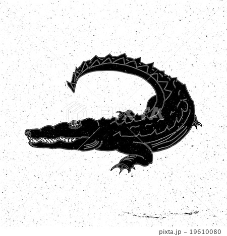 Hand drawn crocodile 19610080