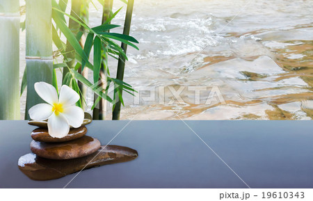 plumeria on pebble rock and bamboo tree and water  19610343
