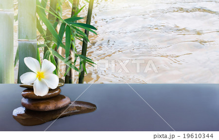 plumeria on pebble rock and bamboo tree and water  19610344