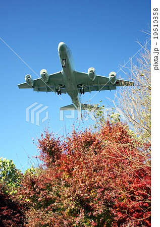秋の紅葉に染まる木々の上空を飛行する海上自衛隊の哨戒機P-1 19610358