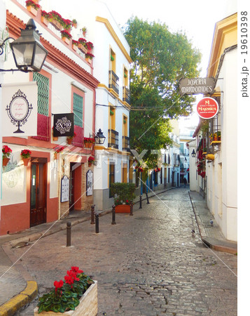 コルドバ　ユダヤ人街 19610398