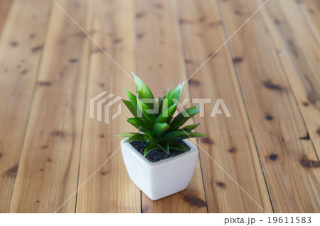 Tree wearing white pot Tree wearing white pot 19611583