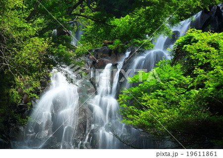 飛竜の滝 飛竜の滝 19611861