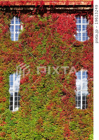green wall vertical at Cityhall in Stockholm 19613249