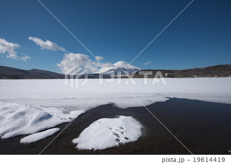 富士山と結氷した山中湖 富士山と結氷した山中湖 19614419