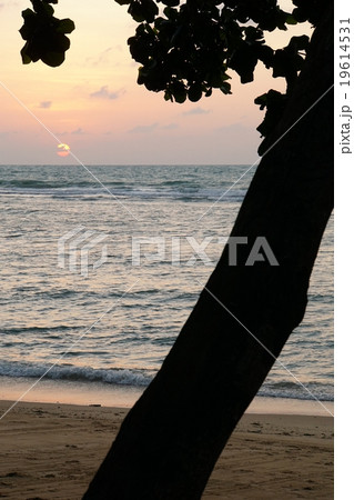 Rising Sun on the Beach 19614531