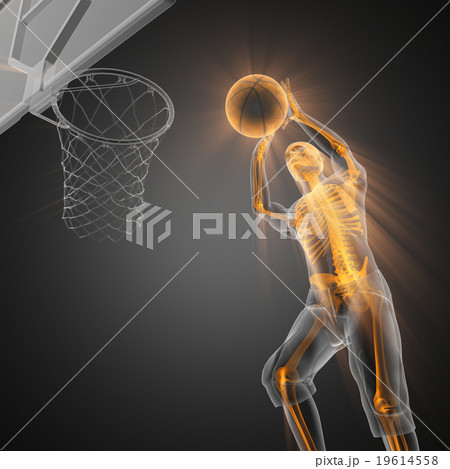 basketball player bones radiography 19614558