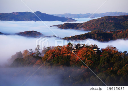 天空の城349- 19615085