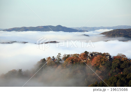 天空の城435- 天空の城435- 19615086