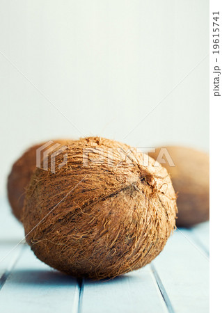 whole coconuts whole coconuts 19615741