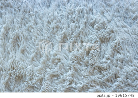 Carpet hair Carpet hair 19615748