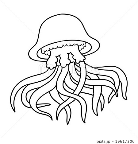 Coloring book (jellyfish) 19617306