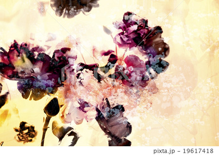 花のコラージュの写真素材