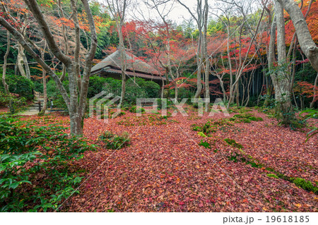 晩秋の祇王寺 19618185