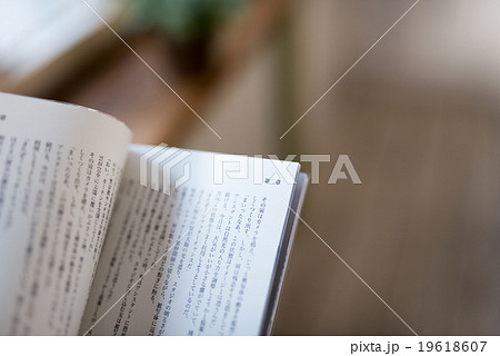 小説. 小説. 19618607