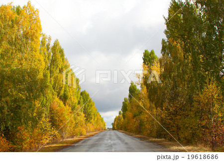 Autumn Landscape 19618686