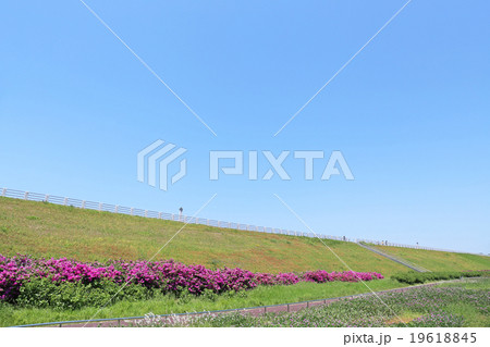 狭山公園 狭山公園 19618845