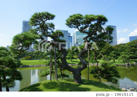 浜離宮恩賜庭園 浜離宮恩賜庭園 19619115