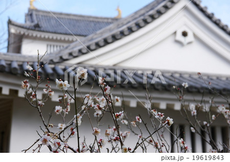 大多喜城 大多喜城 19619843