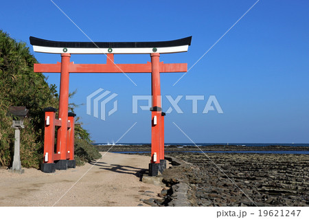 宮崎県宮崎市青島 宮崎県宮崎市青島 19621247