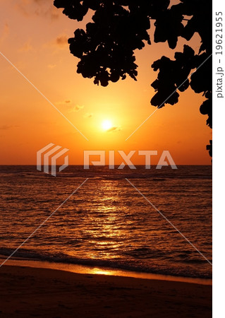 Lamai Beach of Koh Samui, Thailand（タイ・サムイ島のラマイビーチ） 19621955