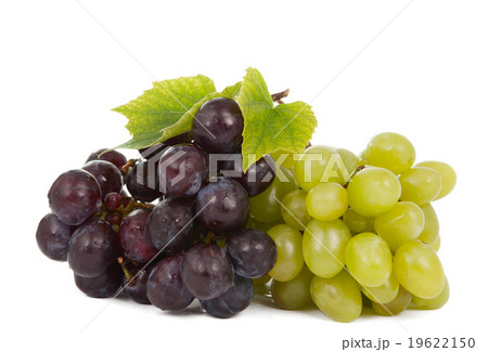 bunch of grapes 19622150