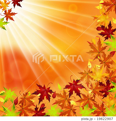 autumn background with red and yellow leaves, autumn background with red and yellow leaves, 19622907