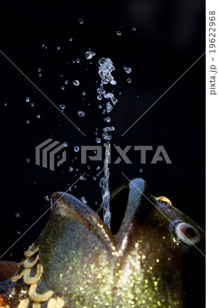 Fountain spraying water aquarium 19622968