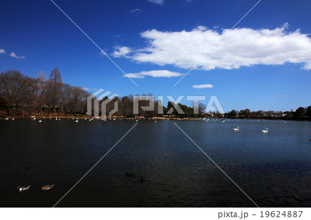 茨城県水戸市大塚池公園 茨城県水戸市大塚池公園 19624887