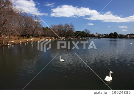 茨城県水戸市大塚池公園の写真素材