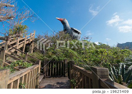 沖縄県　ヤンバルクイナ展望台 19625409