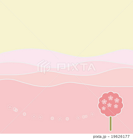 春風景　桜 19626177