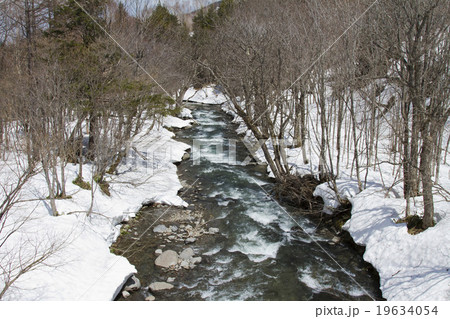 雪解けの清流 雪解けの清流 19634054