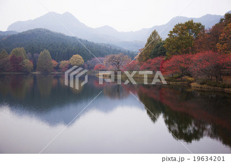 紅葉 栃木の紅葉 紅葉 栃木の紅葉 19634201