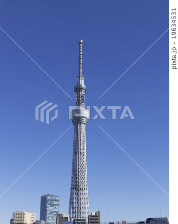 東京スカイツリー　快晴青空　シンプル　コピースペース 19634531