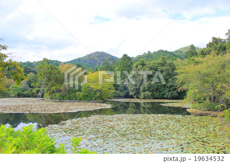 龍安寺　鏡容池 19634532