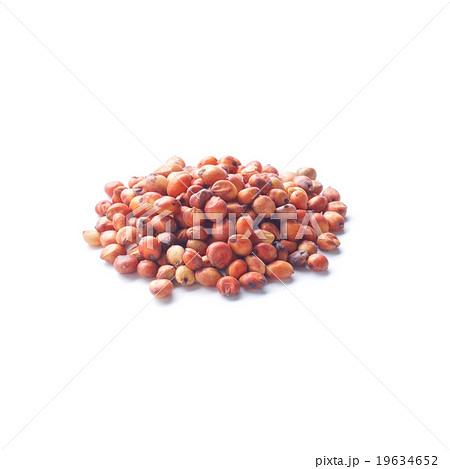 マイロ マイロ 19634652