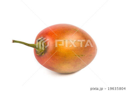 Fresh tamarillo fruits also known as tomato Fresh tamarillo fruits also known as tomato 19635804