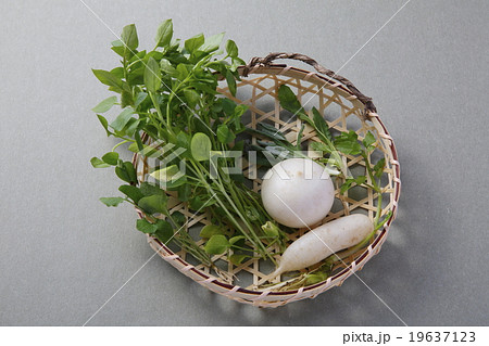 春の七草 19637123