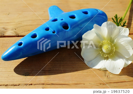 オカリナとアネモネ オカリナとアネモネ 19637520