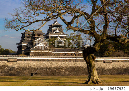 熊本城 19637922