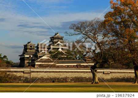 熊本城 19637924