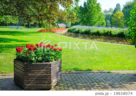 summer park with beautiful flowerbeds summer park with beautiful flowerbeds 19638074