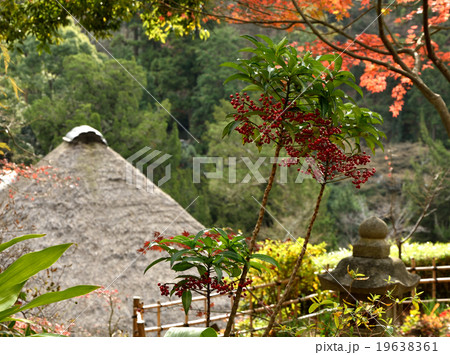 円覚寺の茅葺屋根 円覚寺の茅葺屋根 19638361